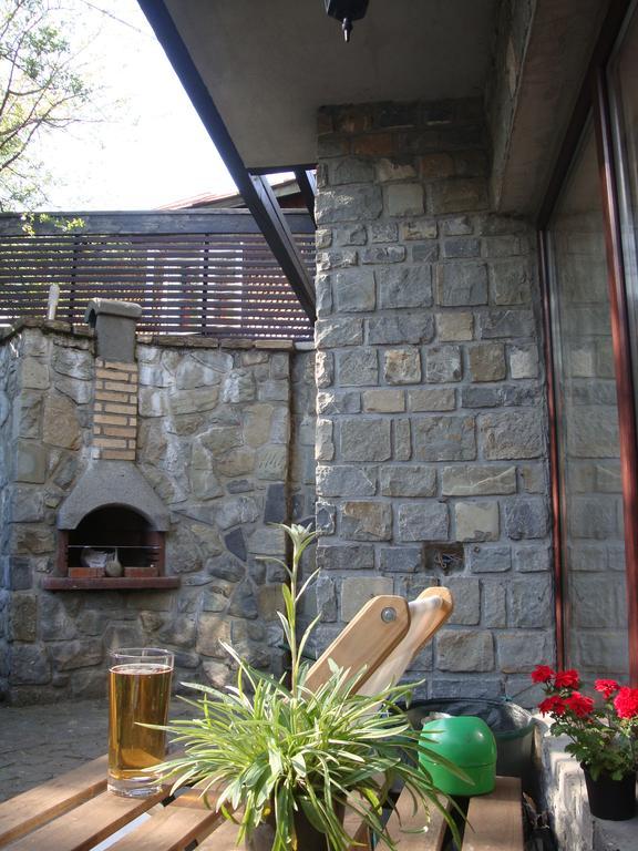 Casuta De Piatra Villa Busteni Bagian luar foto